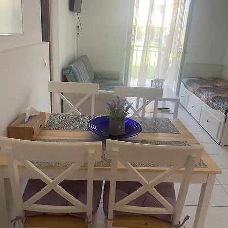 Sunny & Cosy Summer Flat Lefkímmi
