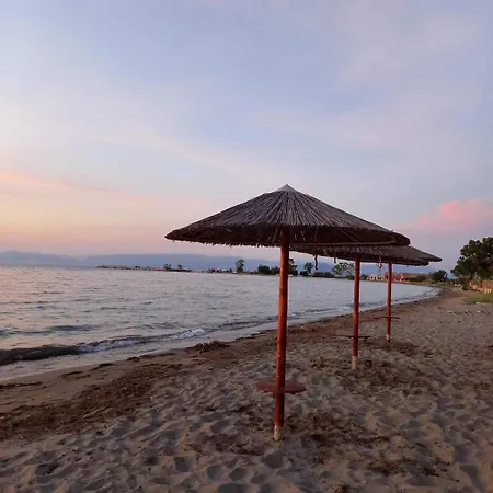 Апартаменты Sunny & Cosy Summer Flat *