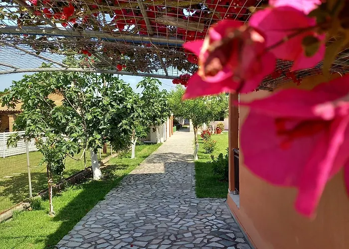 Sunny & Cosy Summer Flat * Lefkímmi